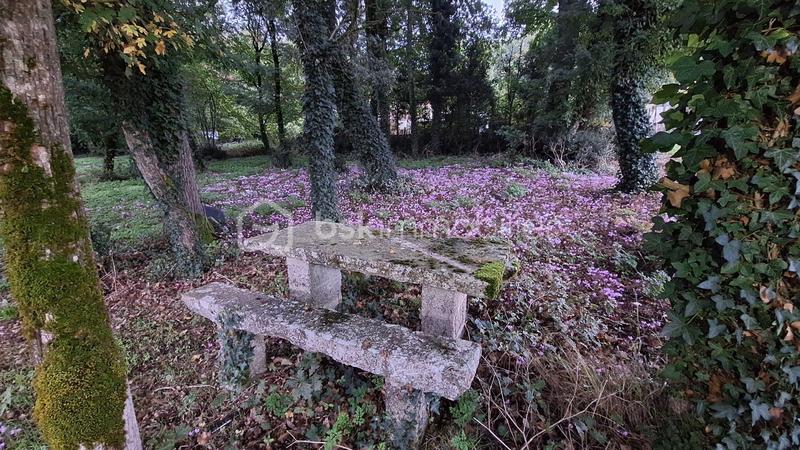 Maison ancienne - 78 m² - 4 pièces
