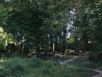 Maison - 200 m² - 7 pièces