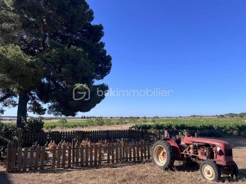 Maison - 186 m² - 7 pièces