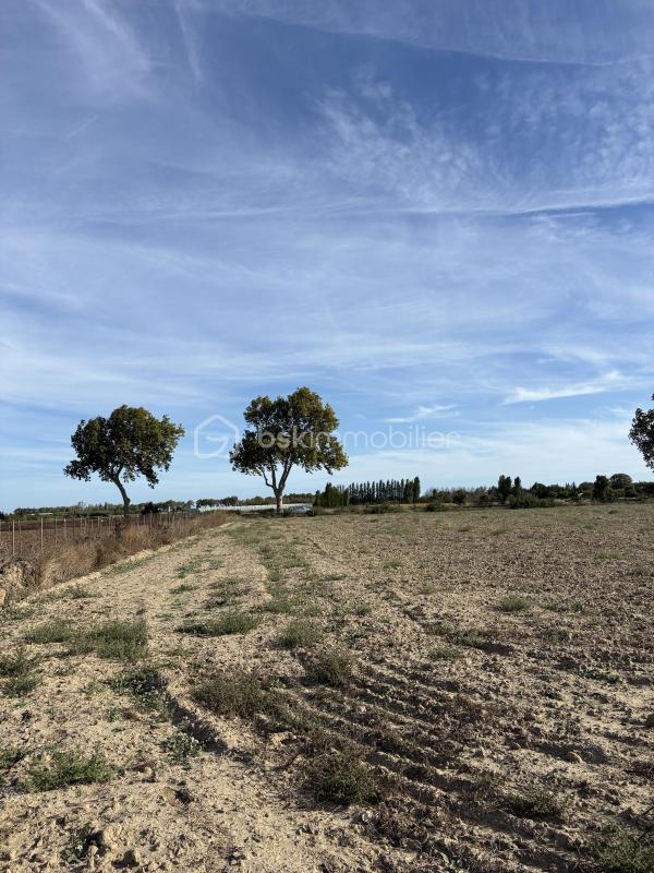 Terrain agricole - 15 000 m²