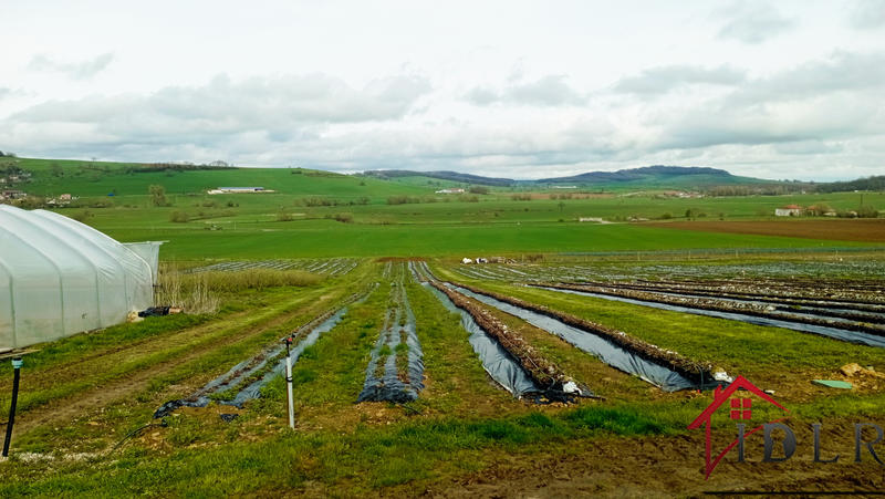 Local d'activités - 80 000 m²