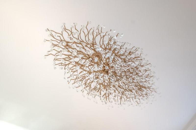 Appartement - 55 m² - 2 pièces