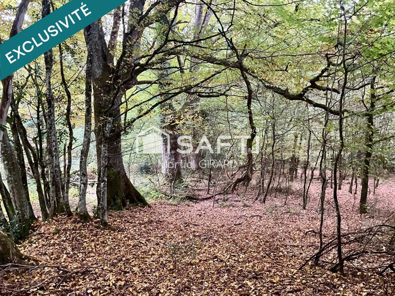 Terrain - 23 520 m²