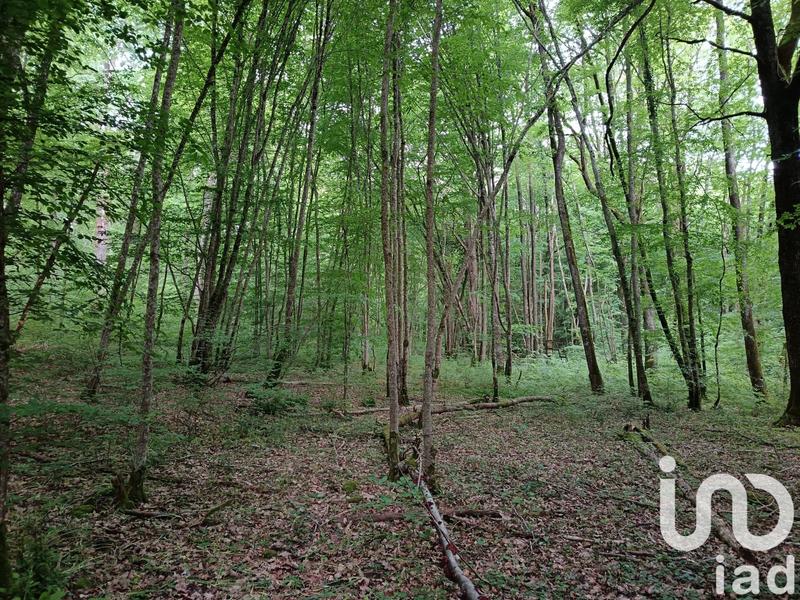 Terrain agricole - 8 960 m²