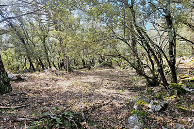 Terrain - 1 780 m²
