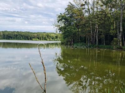 Terrain - 240 000 m²