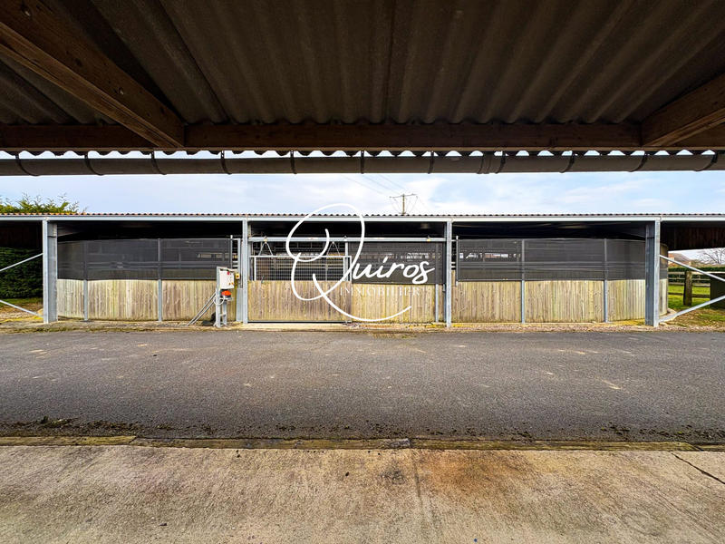 Maison - 287 m² - 10 pièces