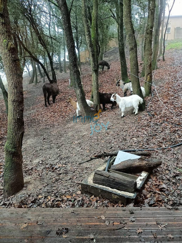 Propriété - 250 m² - 11 pièces