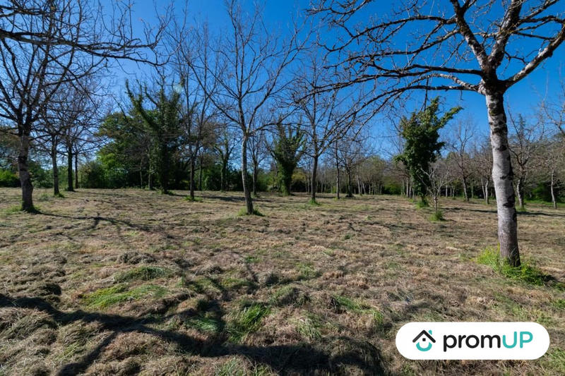 Terrain - 10 000 m²