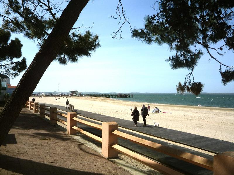 Studio - 30 m² - 1 pièce