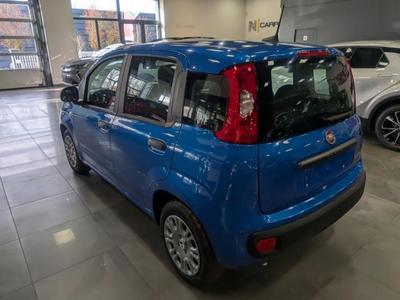 Fiat Panda 1.0 70 ch Hybrid Bsg s/S City