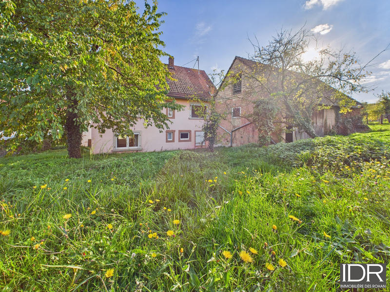 Ferme - 155 m² - 5 pièces