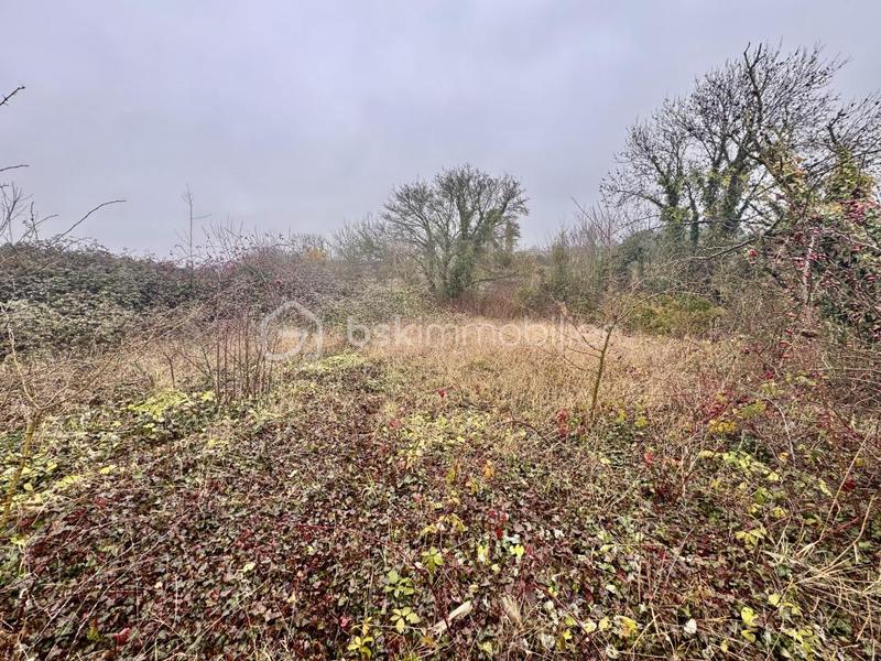 Terrain industriel - 572 m²