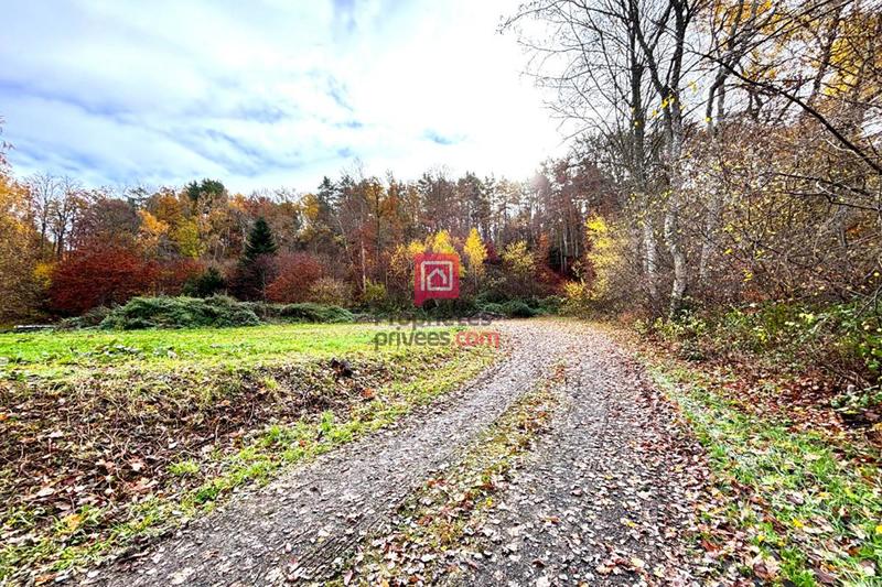 Terrain constructible - 3 200 m²