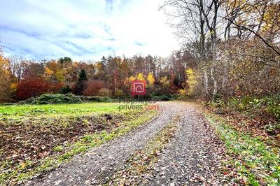 Terrain constructible - 3 200 m²