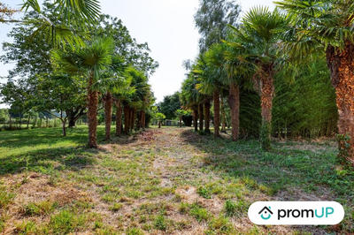 Maison ancienne - 90 m² - 3 pièces