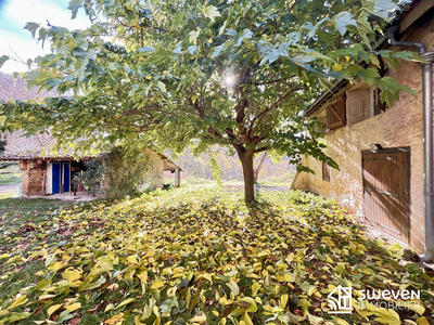 Maison ancienne - 270 m² - 6 pièces