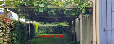 Maison - 165 m² - 4 pièces