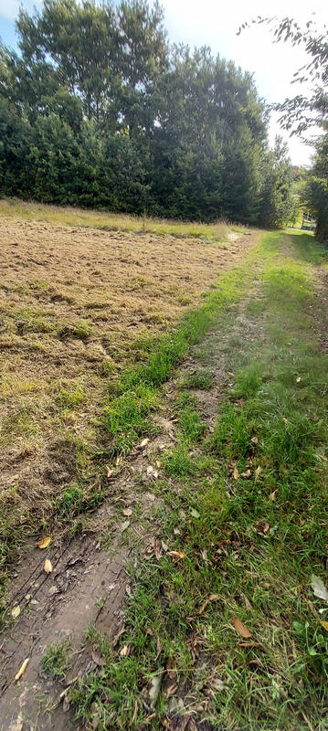 Terrain agricole - 1 290 m²