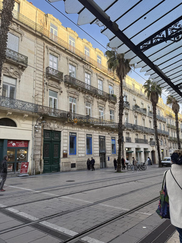 Appartement - 117 m² - 5 pièces