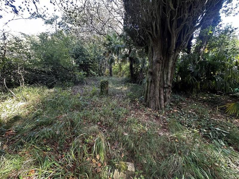 Appartement - 145 m² - 5 pièces