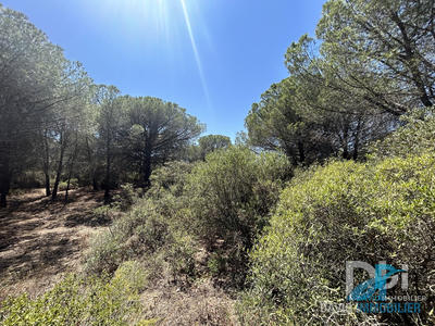 Terrain - 12 305 m²