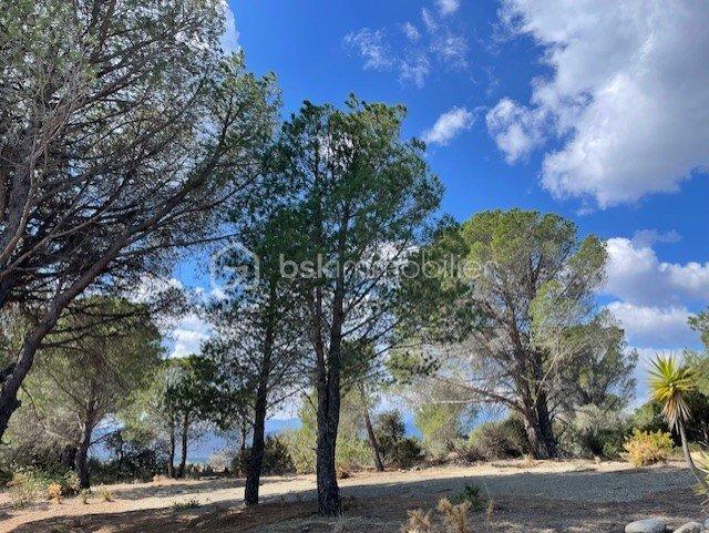 Terrain agricole - 6 375 m²