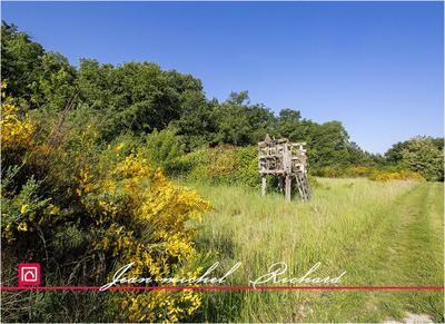 Terrain de loisirs - 101 030 m²