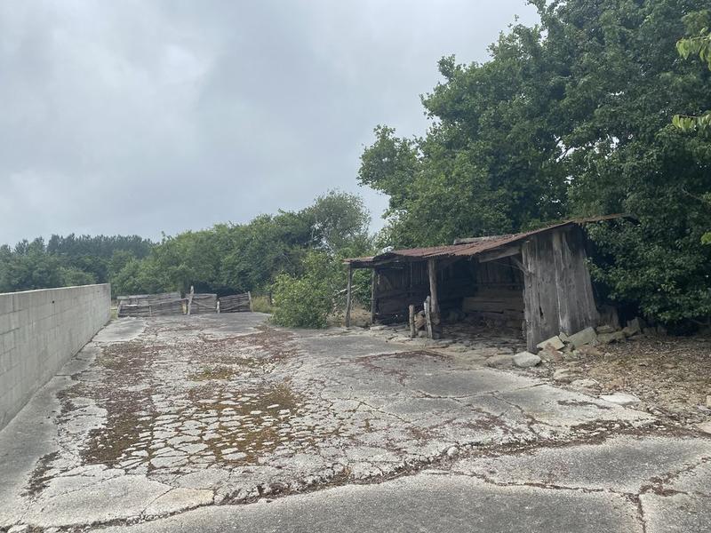 Ferme - 55 m² - 3 pièces