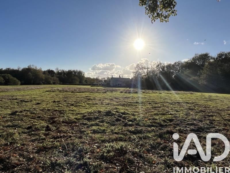 Maison de campagne - 150 m² - 5 pièces