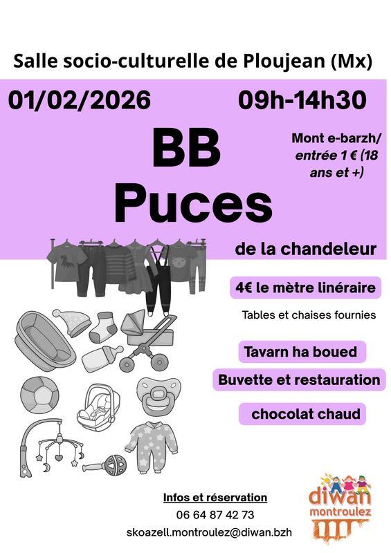 Bébé puces de la chandeleur
