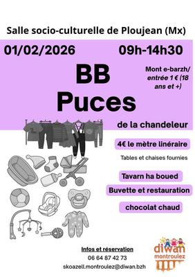 Bébé puces de la chandeleur