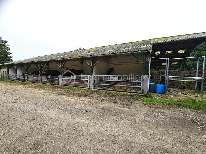 Terrain industriel - 40 000 m²