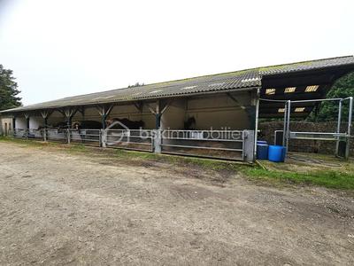 Terrain industriel - 40 000 m²