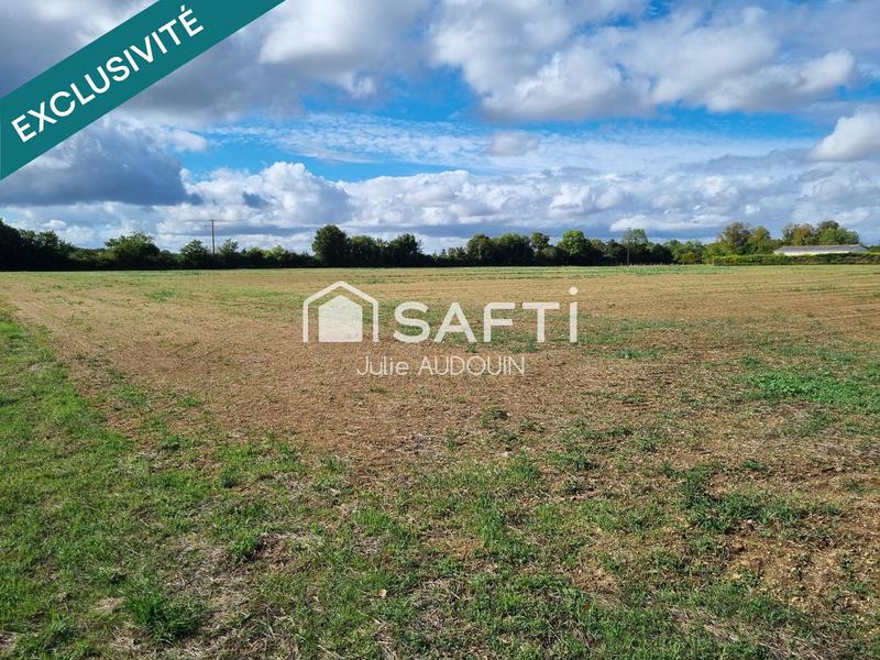 Terrain - 24 294 m²