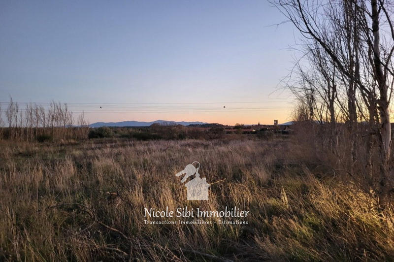 Terrain agricole - 12 550 m²