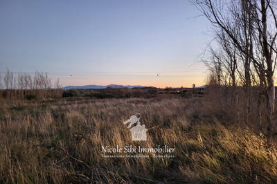 Terrain agricole - 12 550 m²