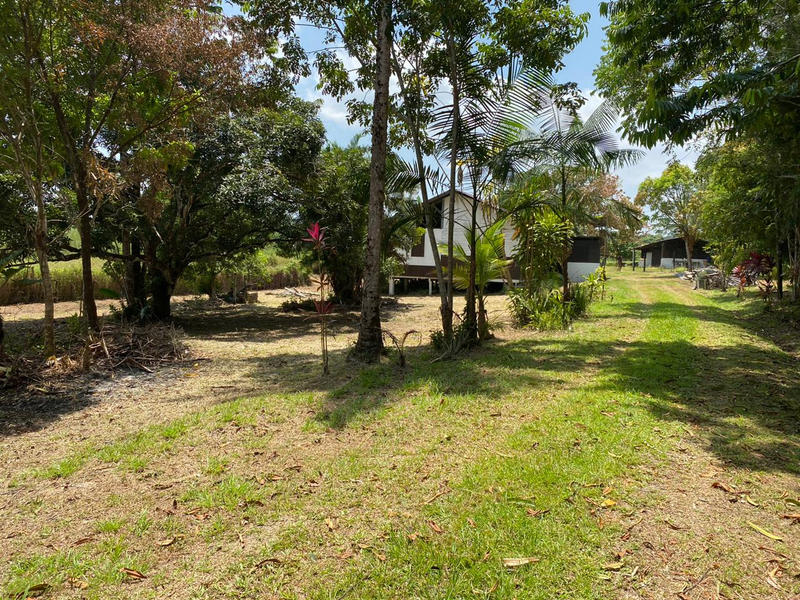 Terrain agricole - 62 539 m²