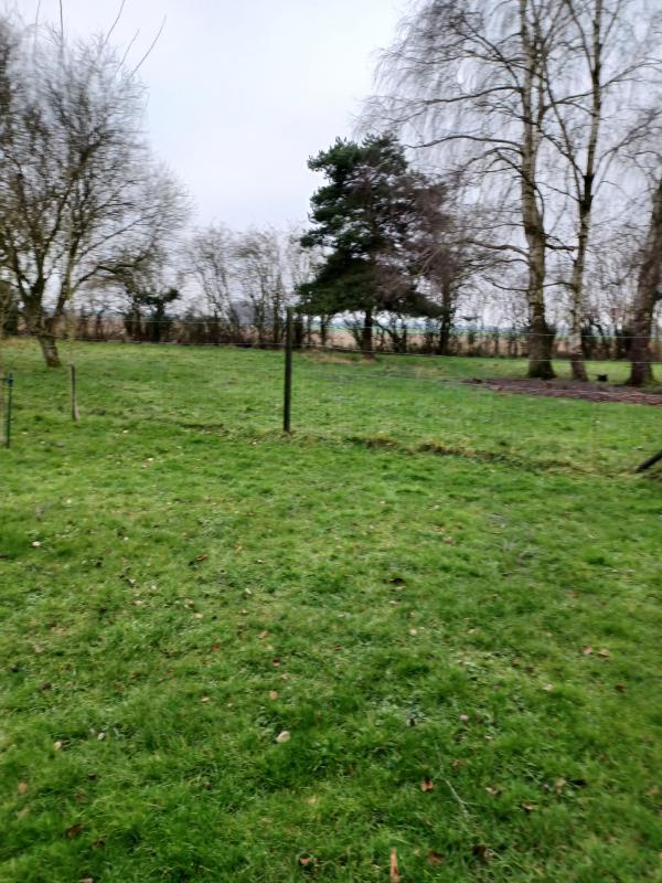 Propriété - 240 m² - 7 pièces