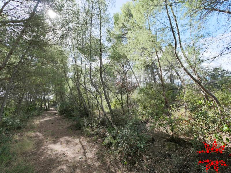 Terrain de loisirs - 23 990 m²