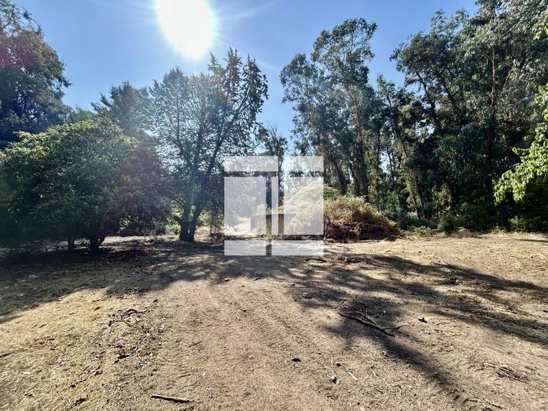 Maison - 260 m² - 9 pièces