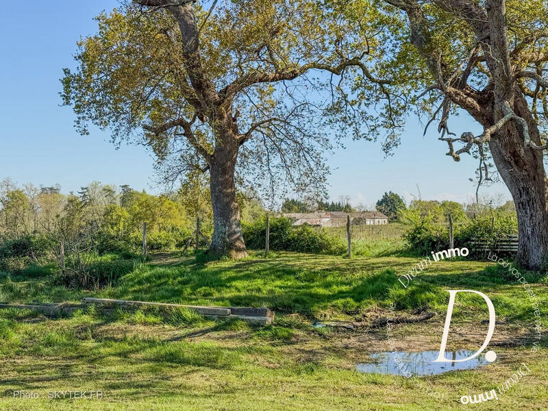 Maison - 200 m² - 9 pièces