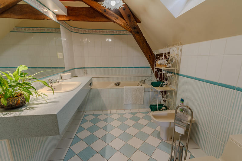 Moulin - 297 m² - 13 pièces