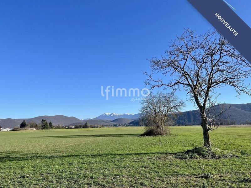 Terrain - 1 624 m²