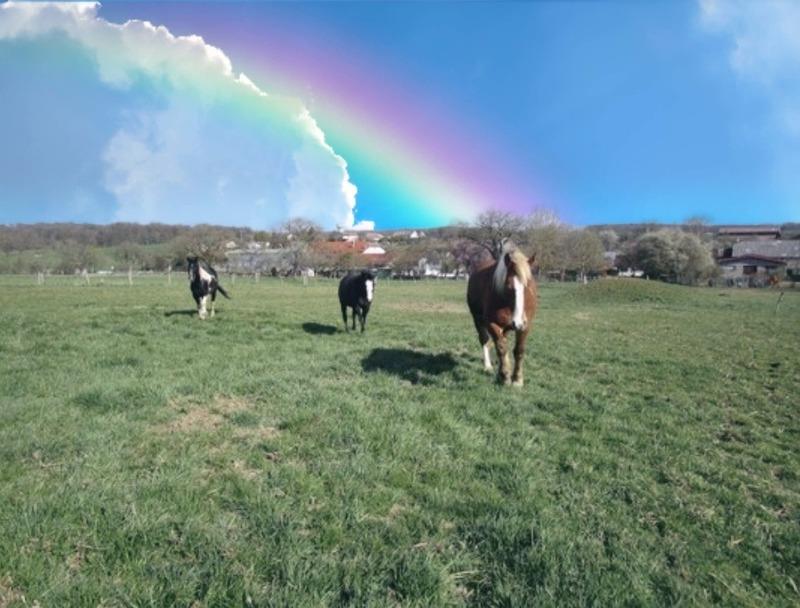 Fermette - 110 m² - 4 pièces