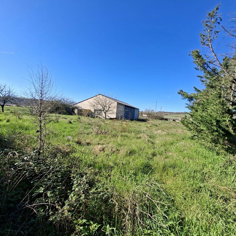 Hangar - 307 m² - 1 pièce