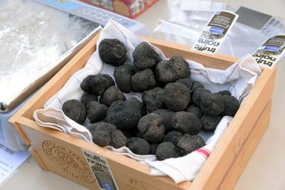 Truffes en Fête