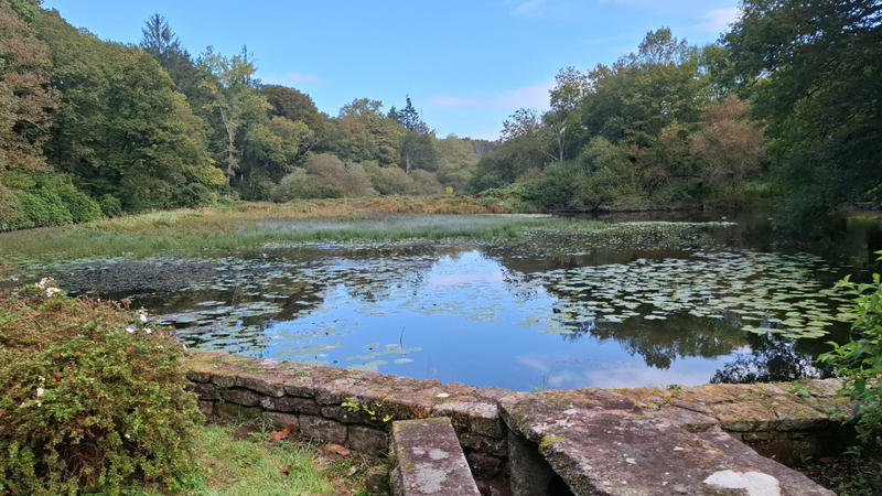 Maison - 285 m² - 11 pièces