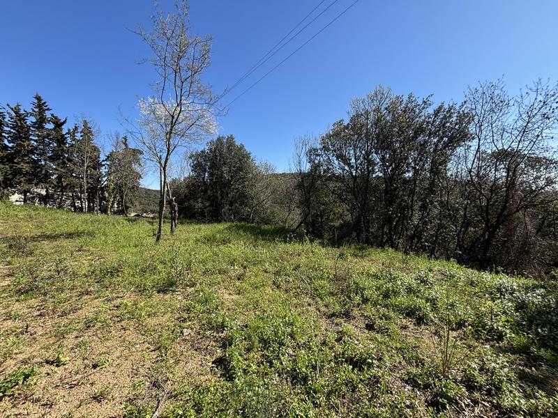 Terrain constructible - 1 330 m²