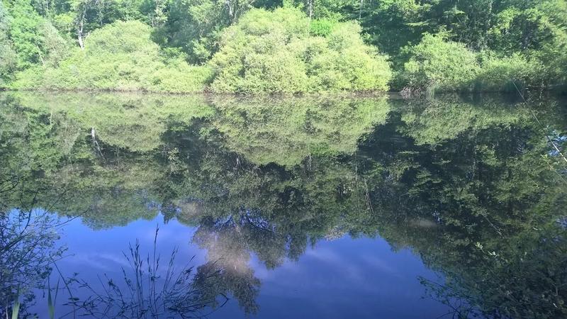 Château - 450 m² - 9 pièces